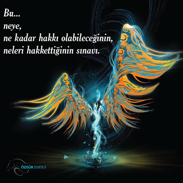 erdemlierdemsiz