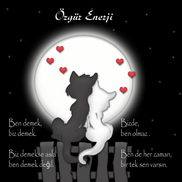 ask_ben_sen_biz