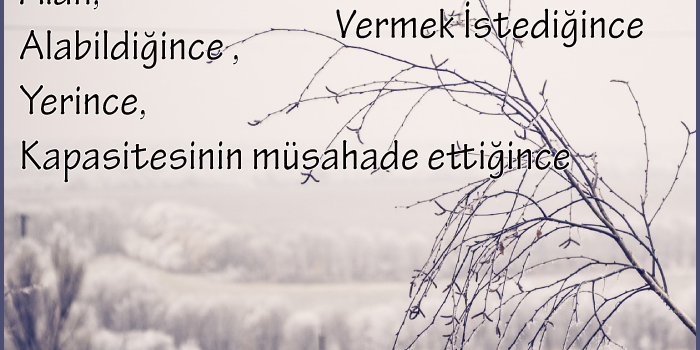 alan_veren