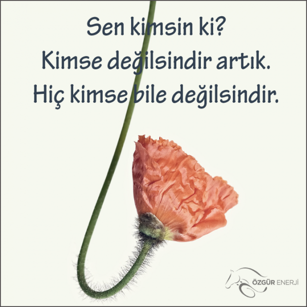 sen_kimsinki