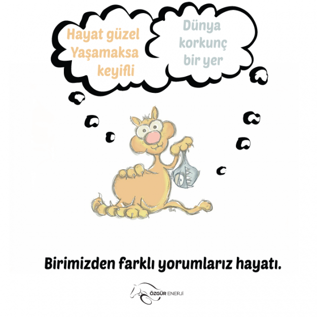 dunya_guzel