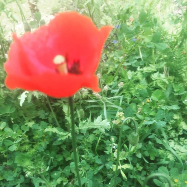 bilincin_seviyeleri_ortaya_cikar