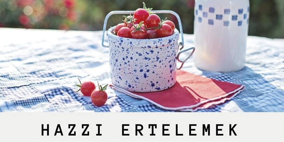 hazzi_ertelemek