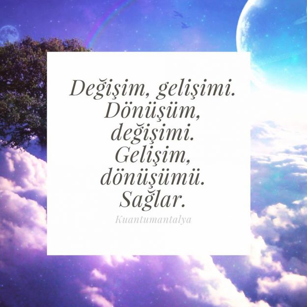 kim_saglar